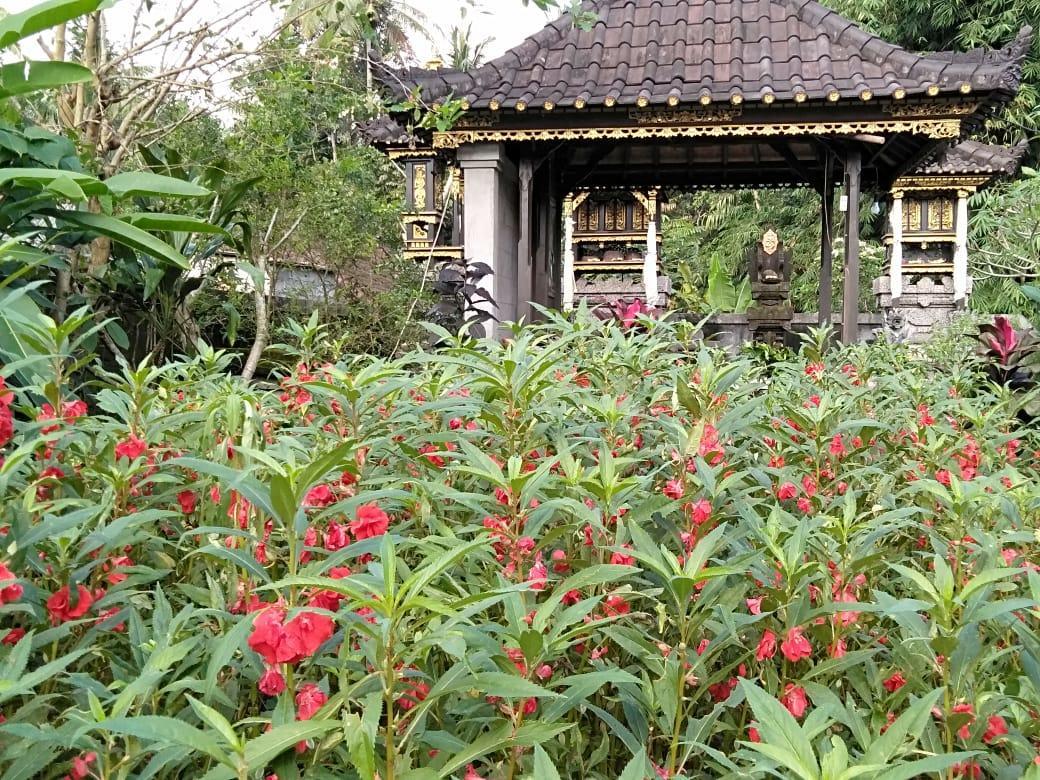Pondok Indah Homestay Sidemen  Exterior photo
